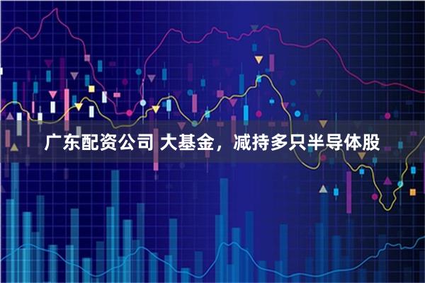 广东配资公司 大基金，减持多只半导体股
